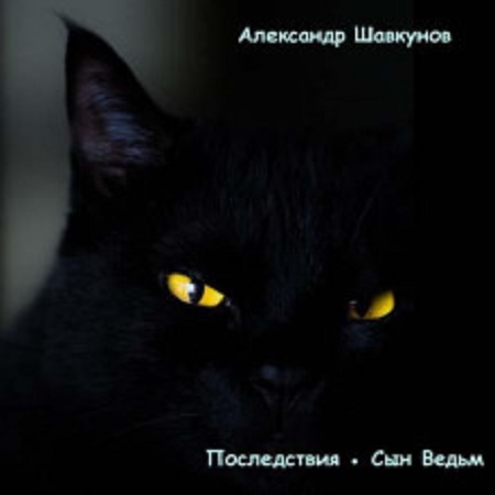 Александр Шавкунов - Бастард 7: Последствия. Сын Ведьм (2023) MP3 скачать торрент